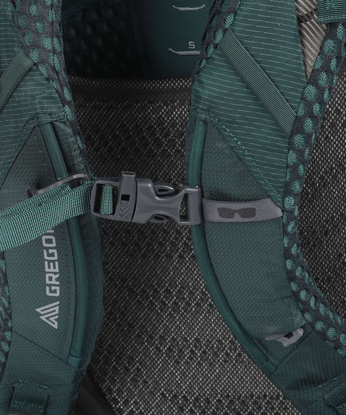 Gregory Deva 60 RC SM Trekking backpack emerald green