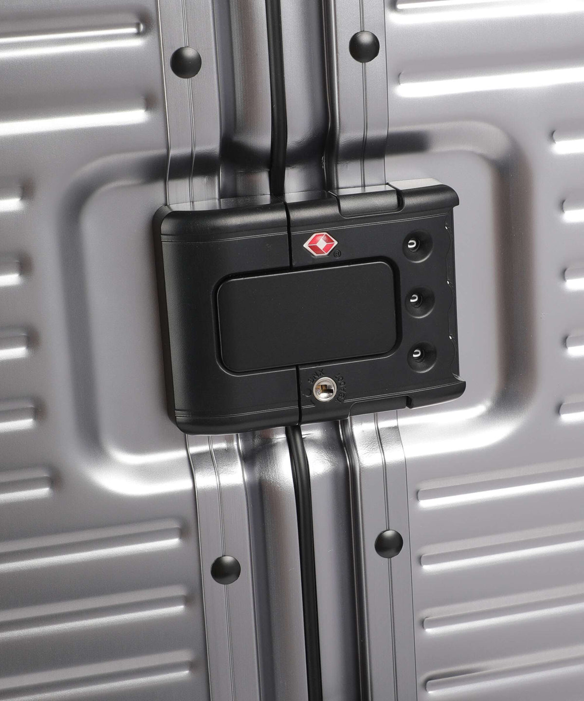 Echolac Shogun Classic M Spinner (4 wheels) dark grey