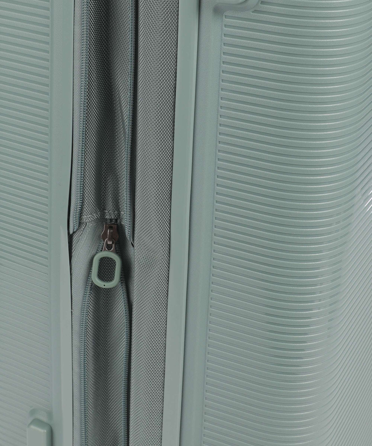 Echolac Forza M Spinner (4 wheels) sage leaf