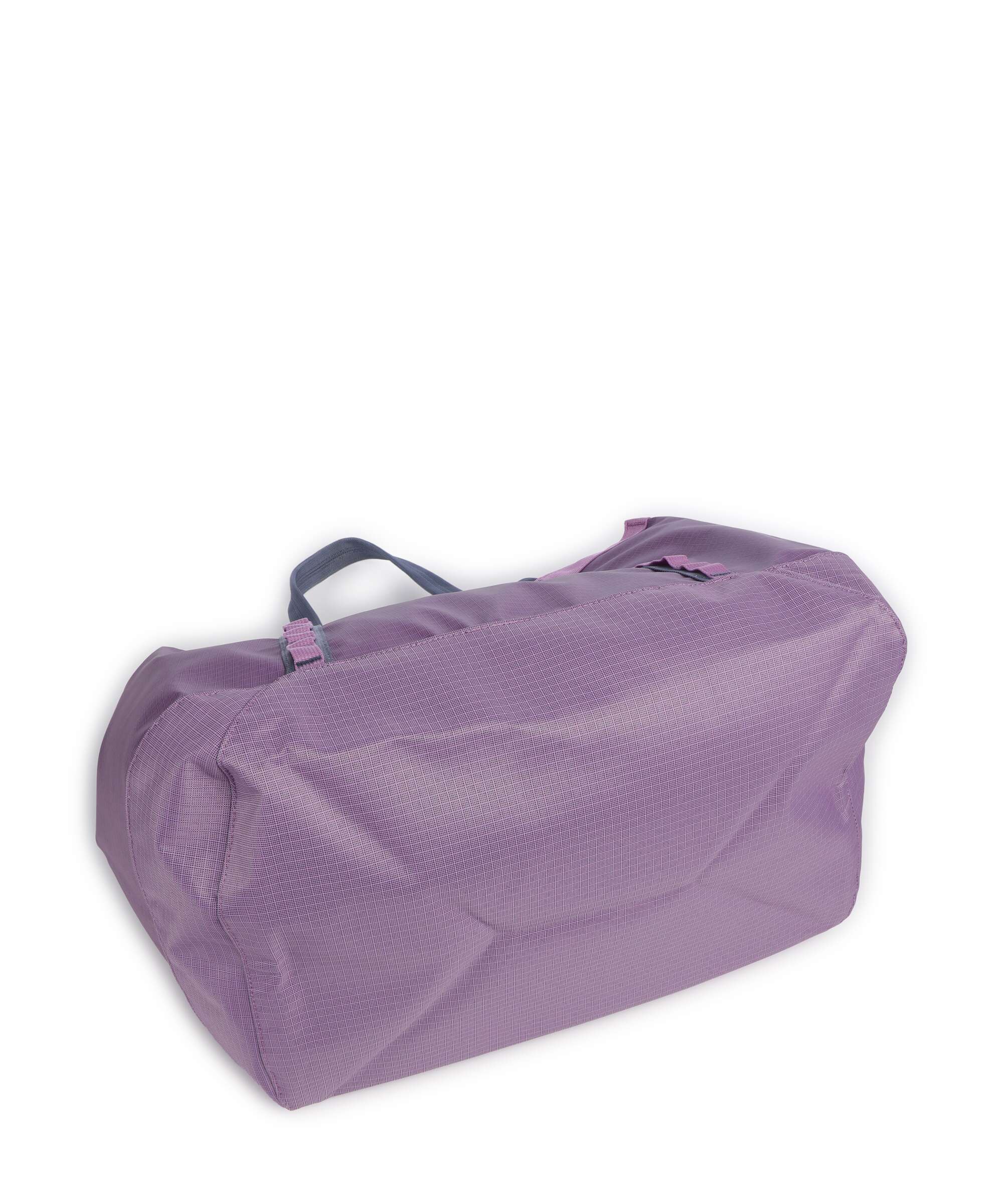 Patagonia Black Hole 25 Tote bag brisk purple