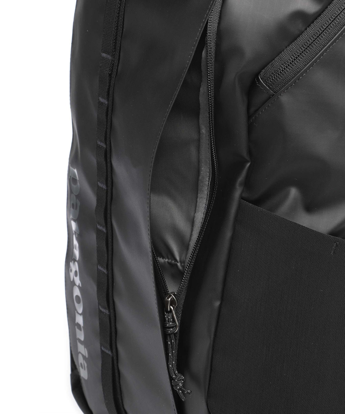 Patagonia Black Hole 25 Backpack black w/black