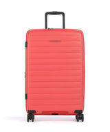 Jump Striper Spinner (4 wheels) coral