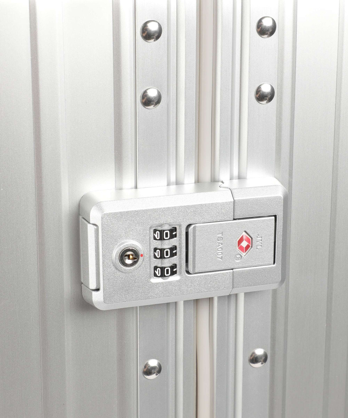 Aleon Classic 30 Macro Traveler Spinner (4 wheels) platinum