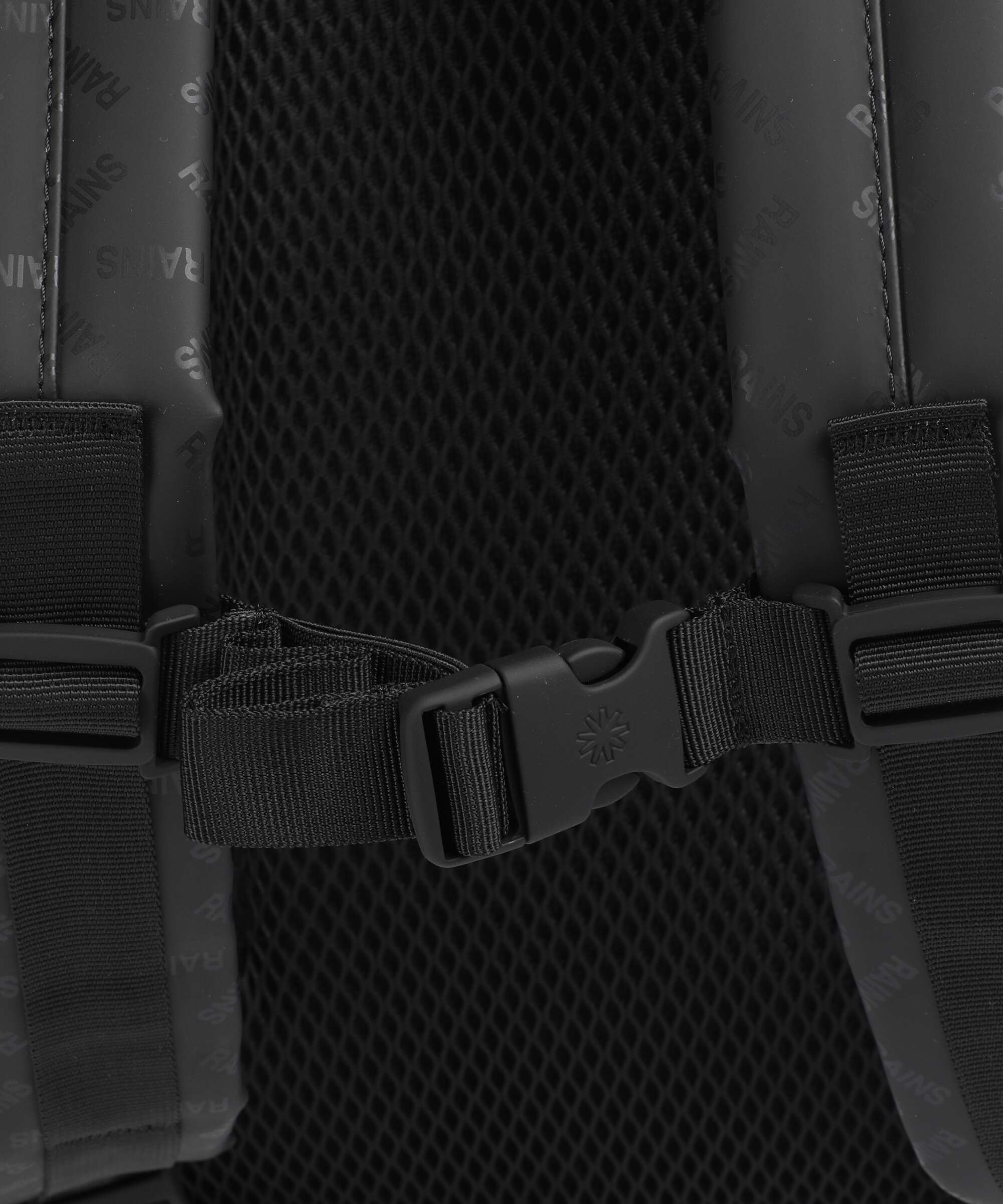 Rains Rolltop backpack house
