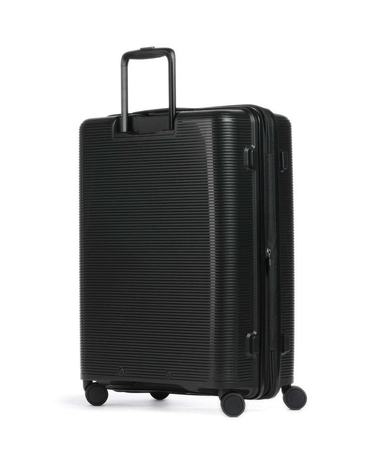 Echolac Forza M Spinner (4 wheels) black