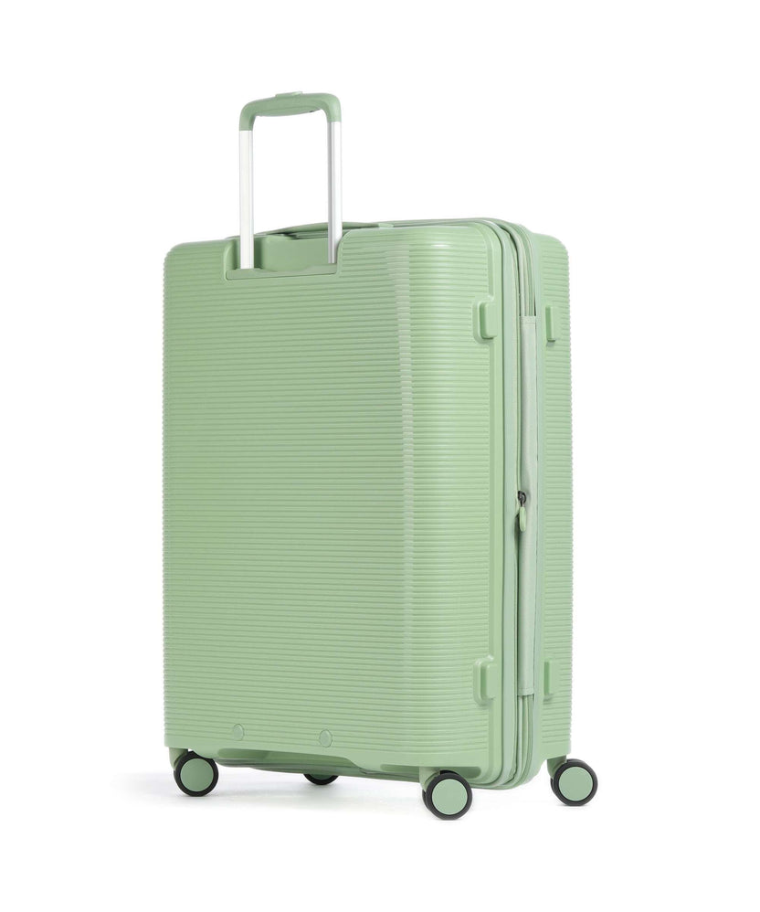 Echolac Forza M Spinner (4 wheels) reef green