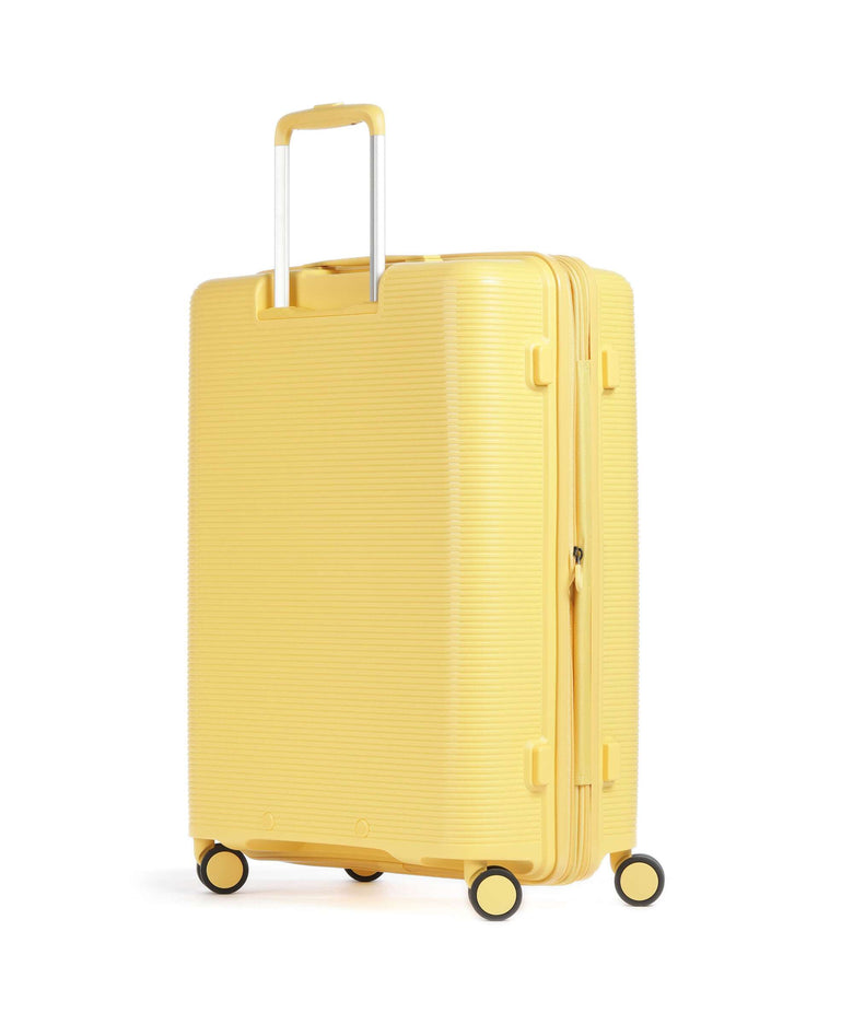 Echolac Forza M Spinner (4 wheels) yellow