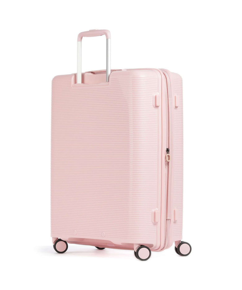 Echolac Forza M Spinner (4 wheels) pink