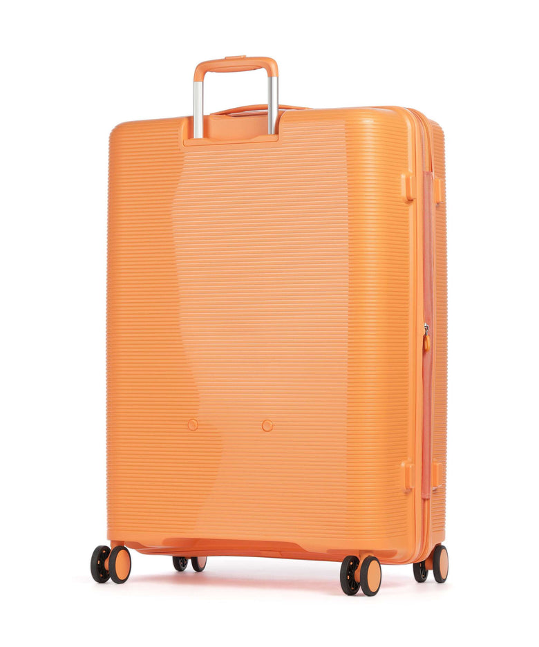 Echolac Forza L Spinner (4 wheels) apricot crush