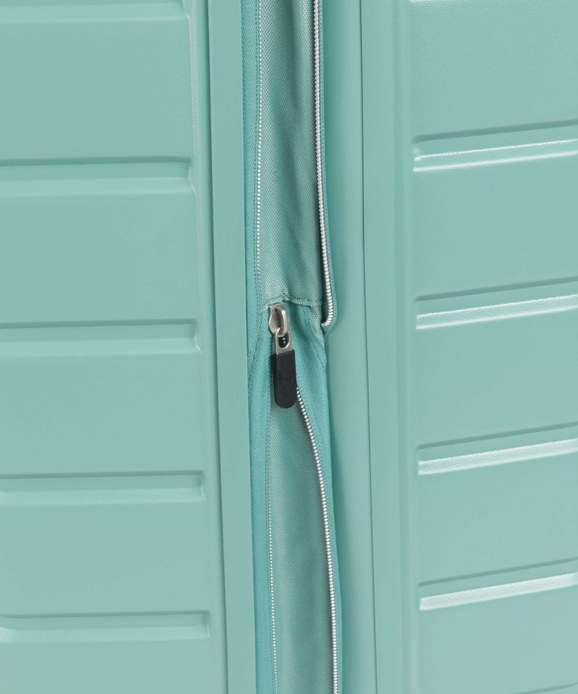 Roncato ReLife Spinner (4 wheels) salvia