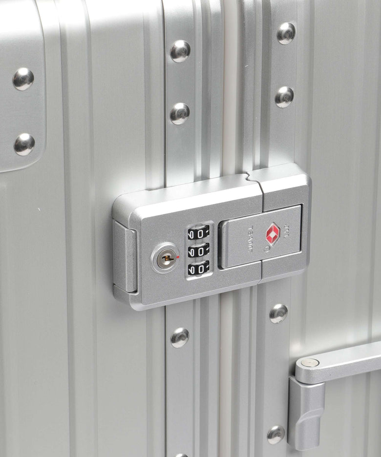 Aleon Classic 21 Domestic front flap Spinner (4 wheels) platinum