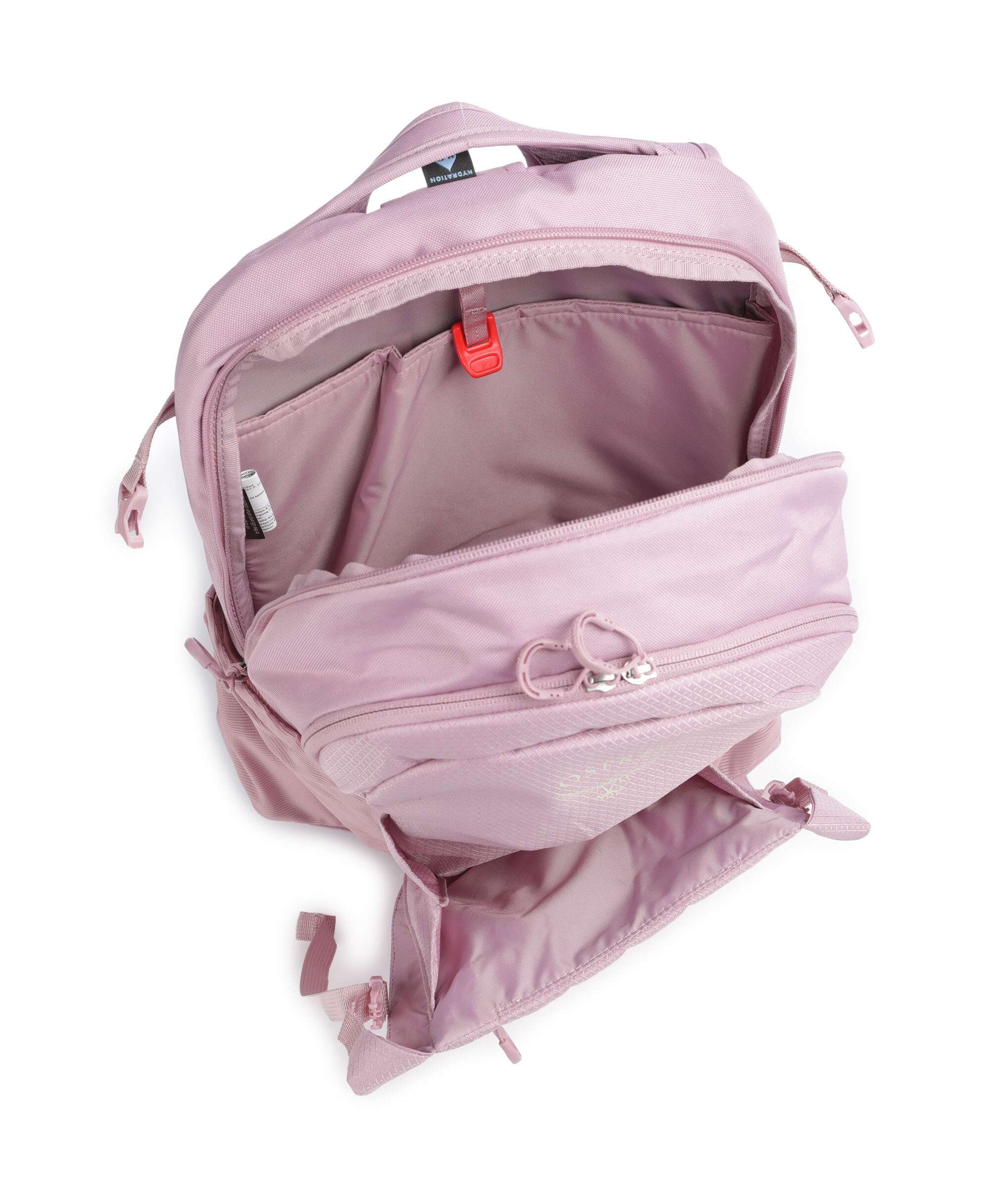 Osprey Daylite Plus Backpack iris pink