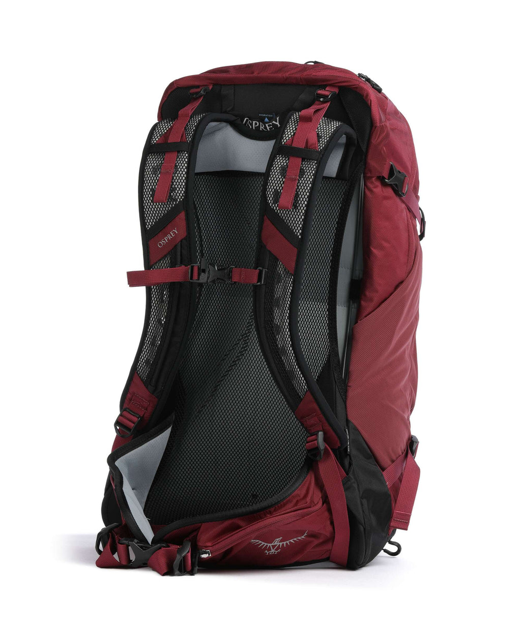Osprey Hikelite 28 M/L Hiking backpack chameleon/black